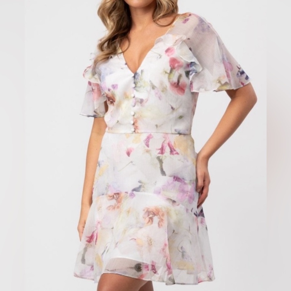 NWT Ted Baker Sangro Floral Ruffle Dress - Size 3 (medium)